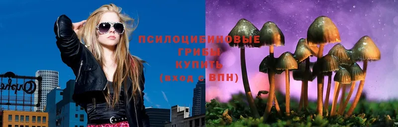 KRAKEN вход  Вышний Волочёк  Галлюциногенные грибы Magic Shrooms 